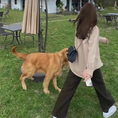 上载新生第四季