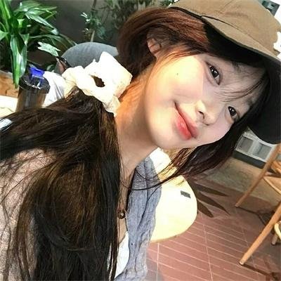 动物总动员